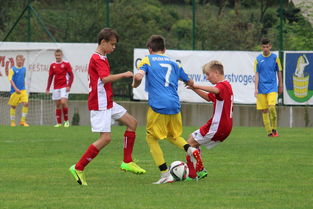 APP下载 LY Sports-塞尔维亚实力不断提升，期待在国际大赛中突破