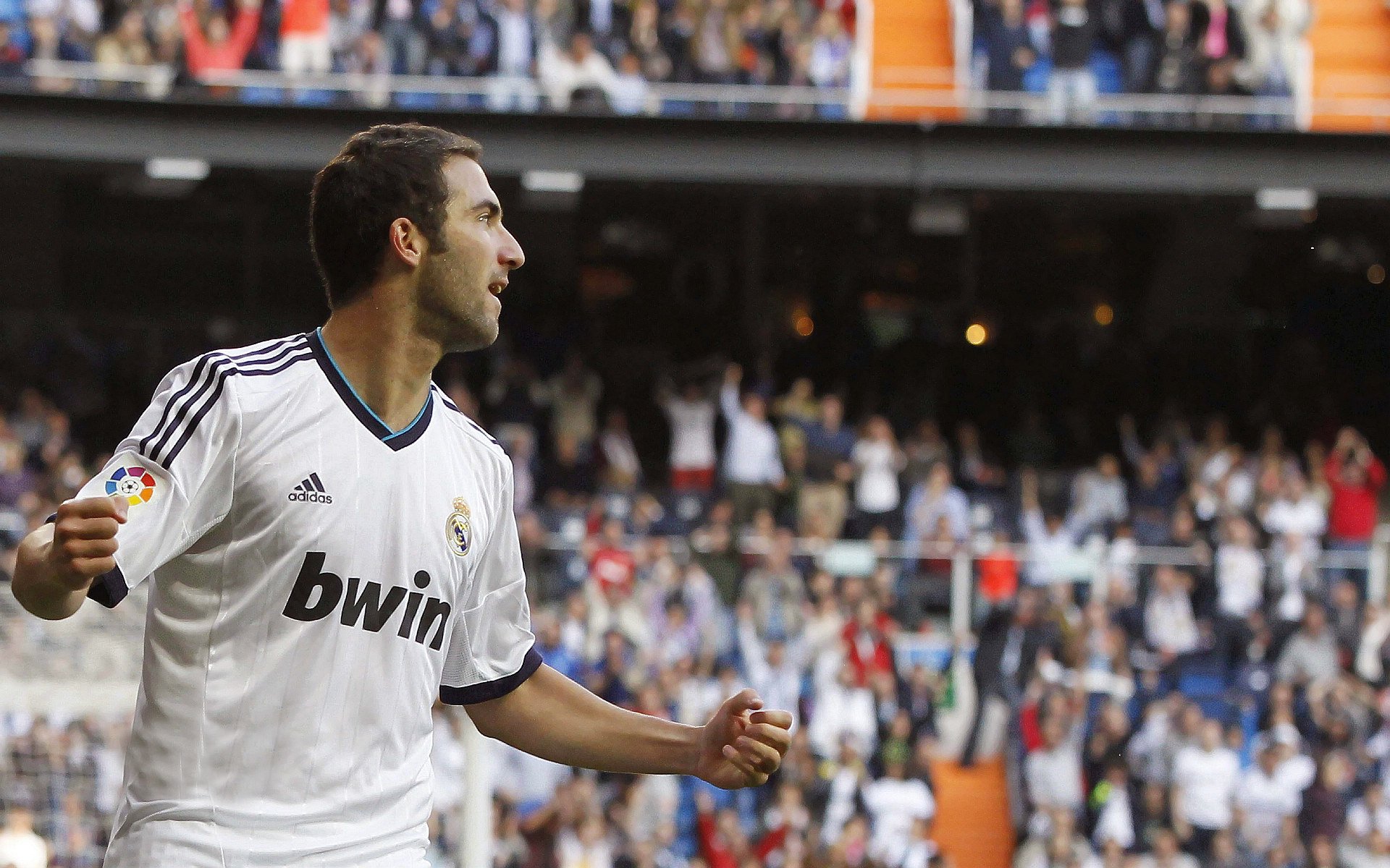 足球名宿解说国际大赛,精彩观点引发热议,世界足球名宿